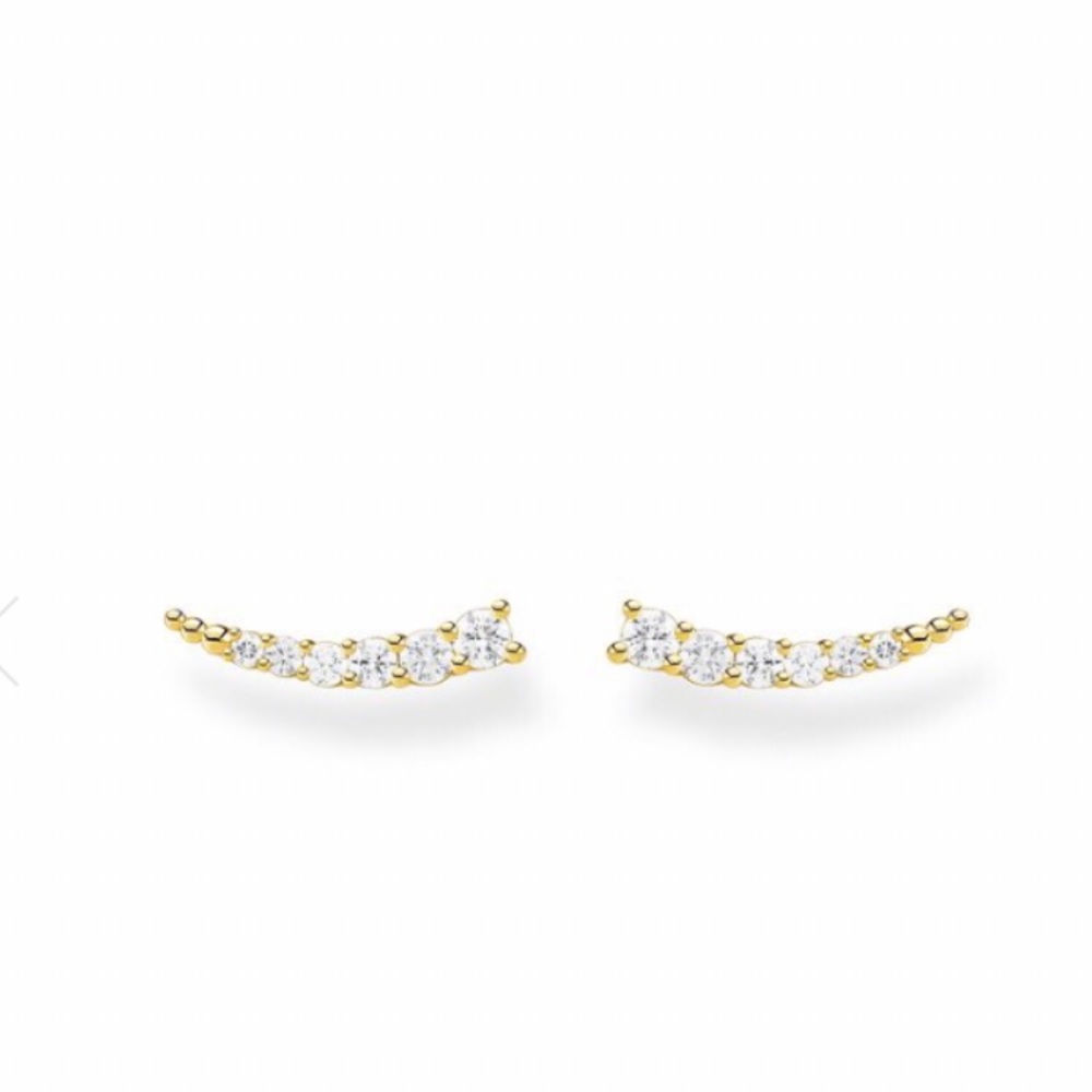⚡️Flash Sale Gold plated climber earrings